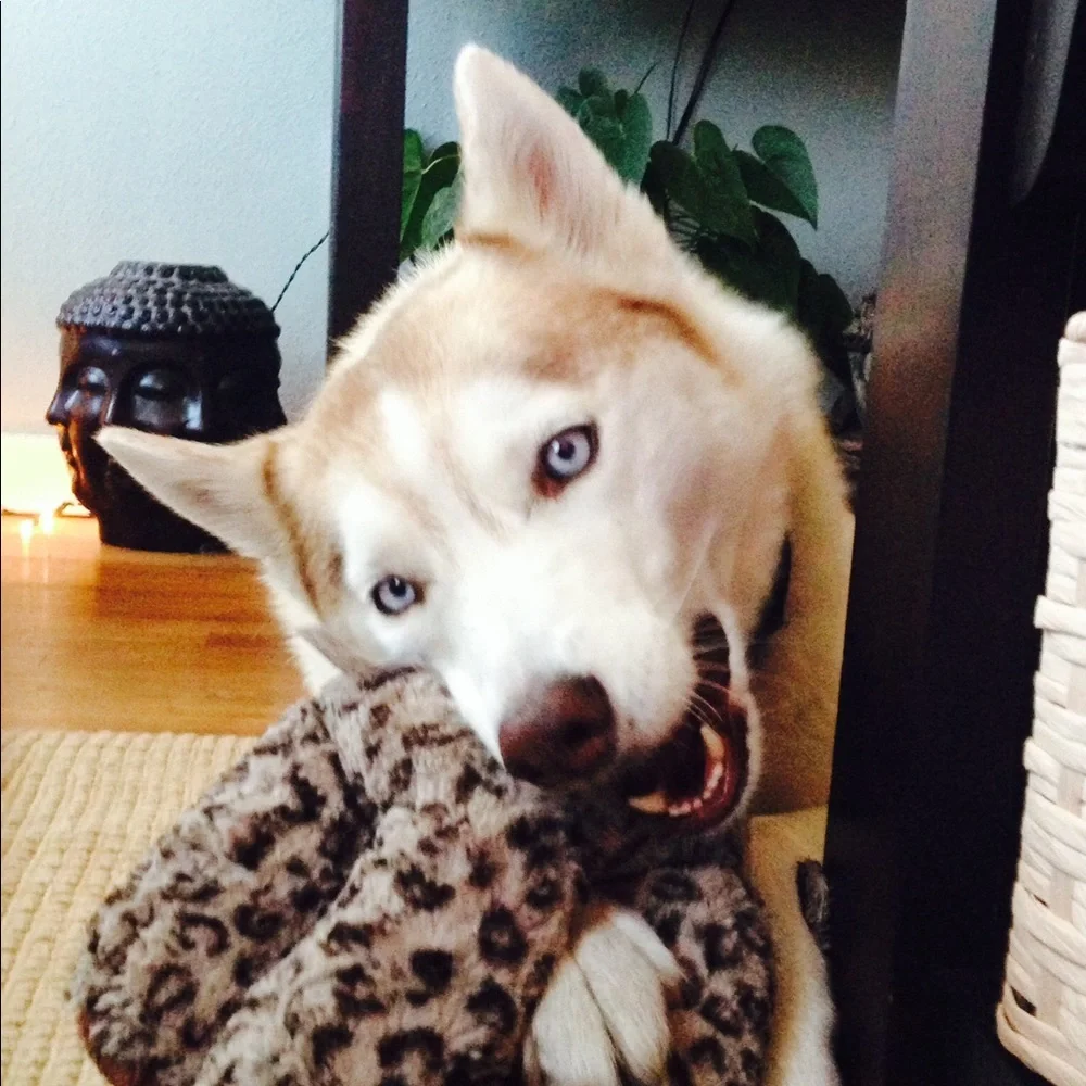 Meet your Posher, Nancy - Picture 3 of 7